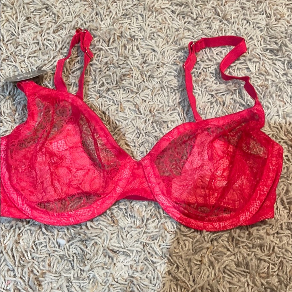 See-through red/pink bra